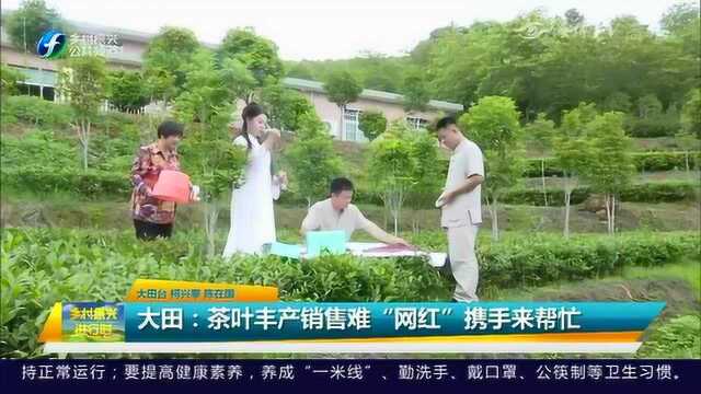 大田:茶叶丰产销售难“网红”携手来帮忙!