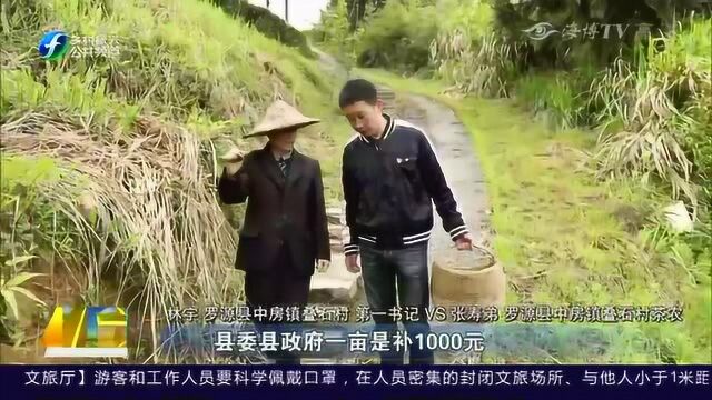 罗源:种茶领补贴 茶山喜“添金”!