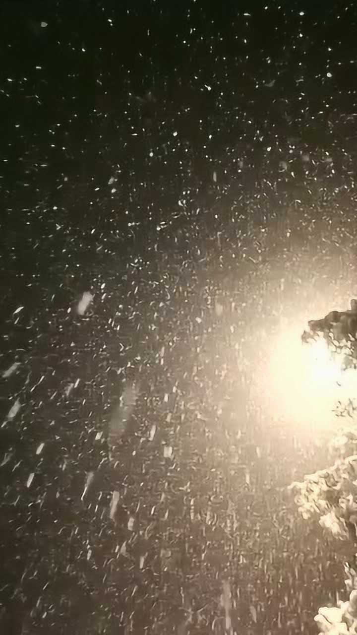 夜晚的鹅毛大雪在路灯的照射下显得格外美丽