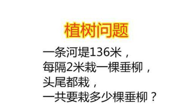 一条河堤136米,每隔2米栽一棵垂柳,头尾都栽,一共要栽多少棵