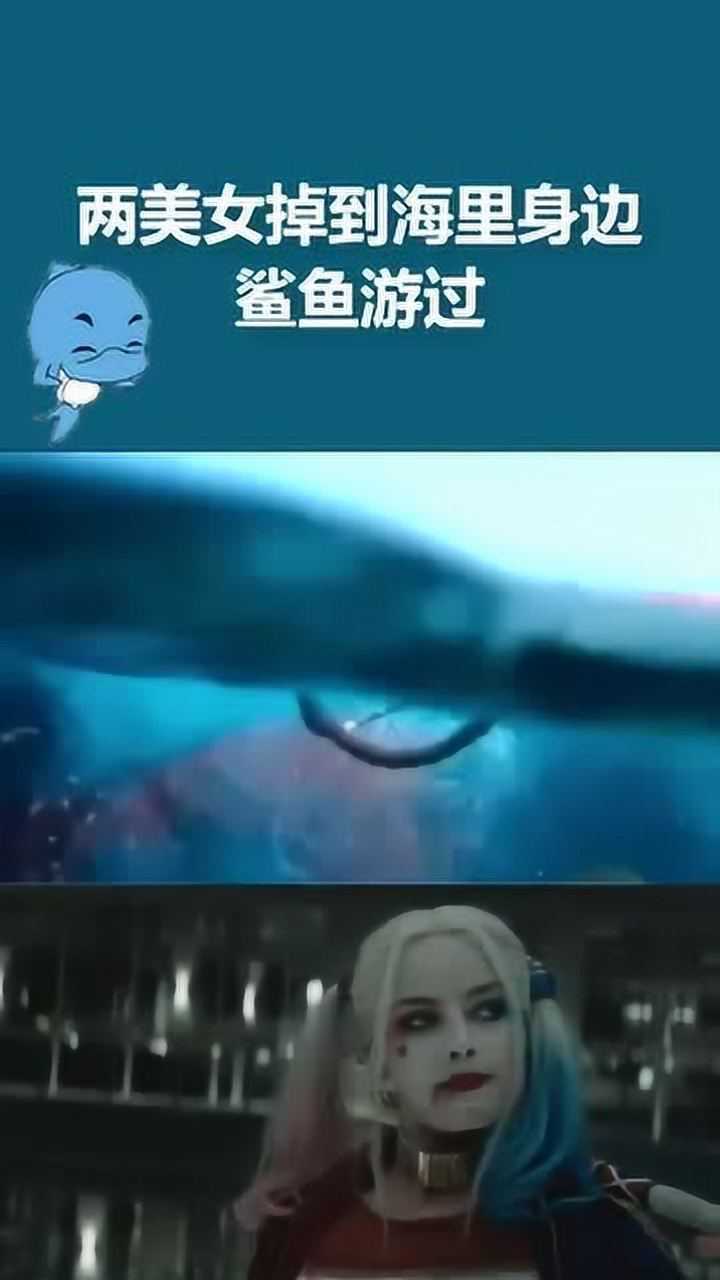 两美女掉到海里身边鲨鱼游过深海恐惧症的请自觉离开哟