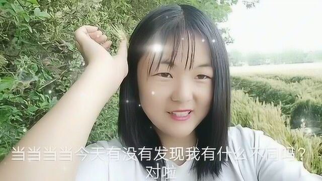 娜娜说段子:自媒体大神留言说这样可以增加推荐量