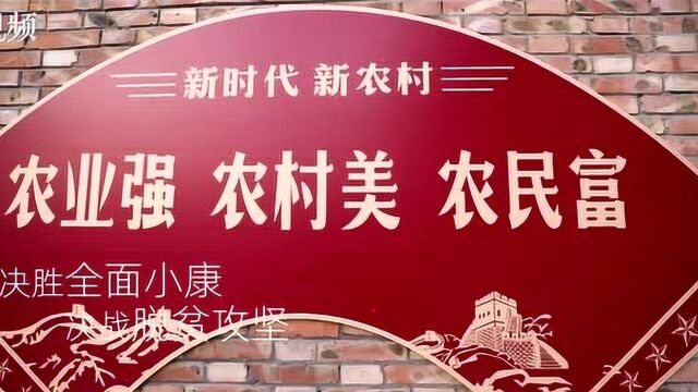 今晚19:30,严选全省好物好货,大河报直播间等你来下单