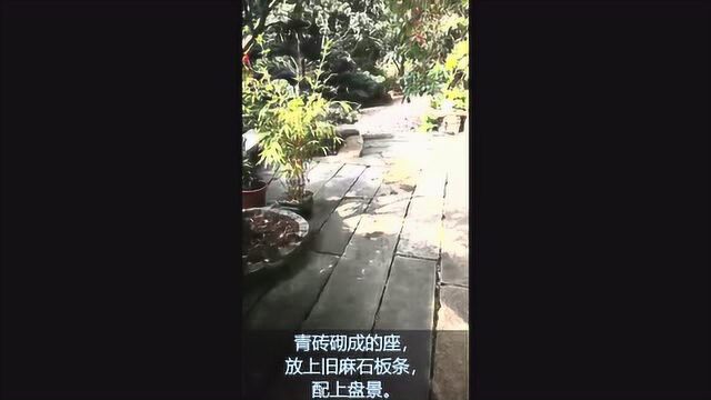 充满中国风味道的园景