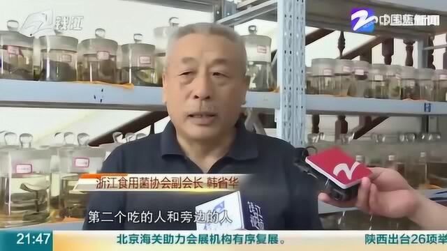 网络方法不靠谱 路边的野蘑不要采!浙江食用菌协会副会长带来科普教学