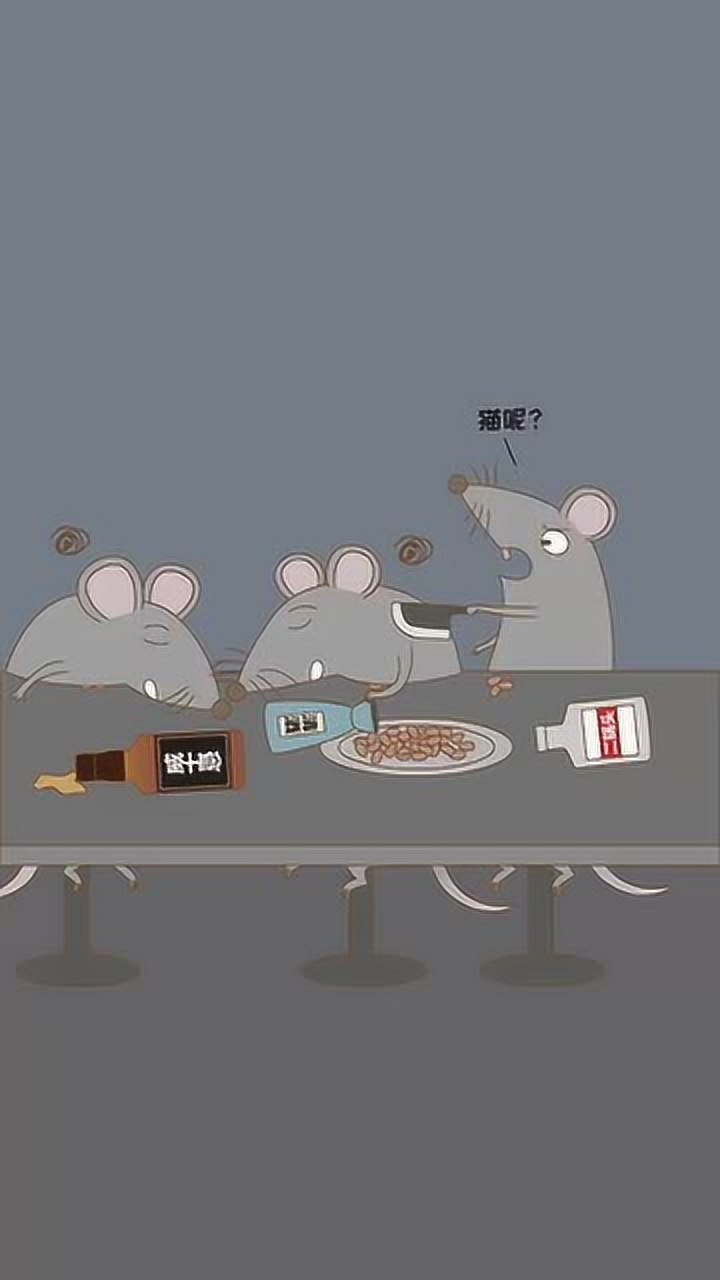 三只老鼠喝酒,酒壮怂鼠胆