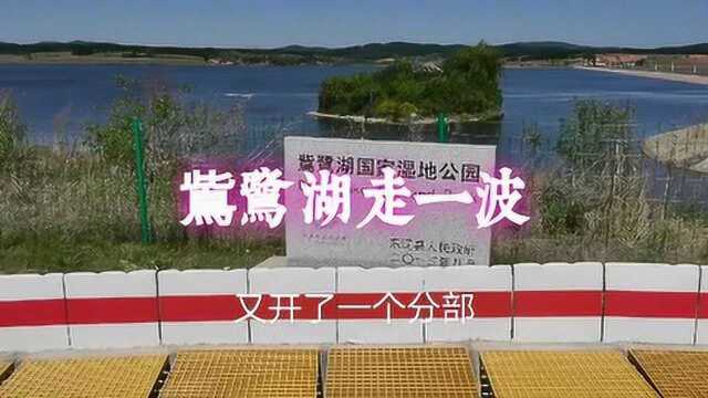 鴜鹭湖国家湿地公园走一波