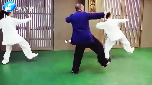 陈式太极拳精要十八式