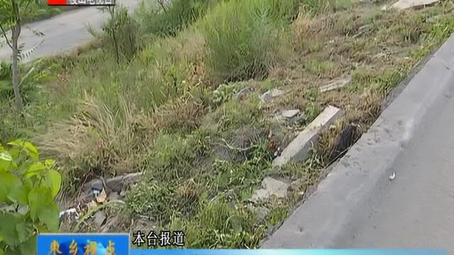 稷山电视台枣乡栏目