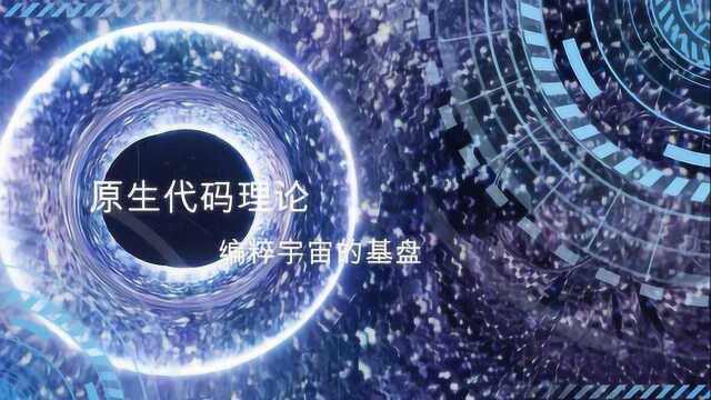 黑洞是编码宇宙的工具,原生代码理论,编粹宇宙的基盘