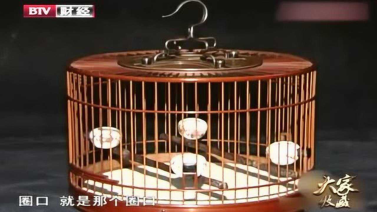 怎样的鸟笼价值高，一整套下来都是老物件，看着赏心悦目_高清1080P在线观看平台_腾讯视频