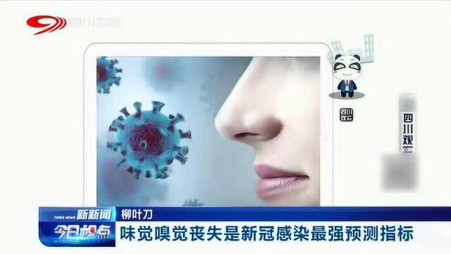 柳叶刀发布最新研究显示:味觉嗅觉丧失是新冠感染最强预测指标