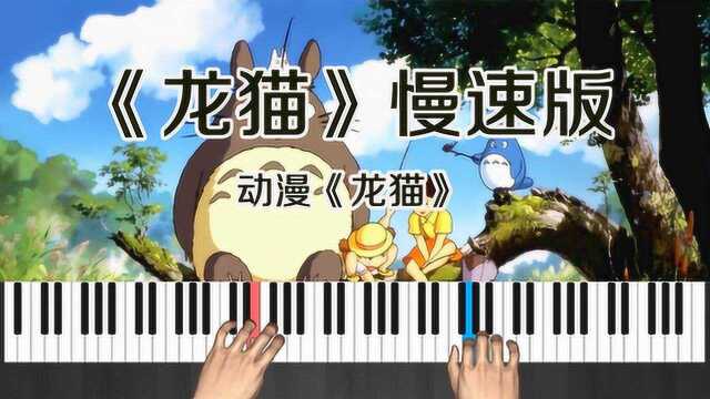 宫崎骏动漫经典!《龙猫》主题曲钢琴版教学视频 跟弹演奏版