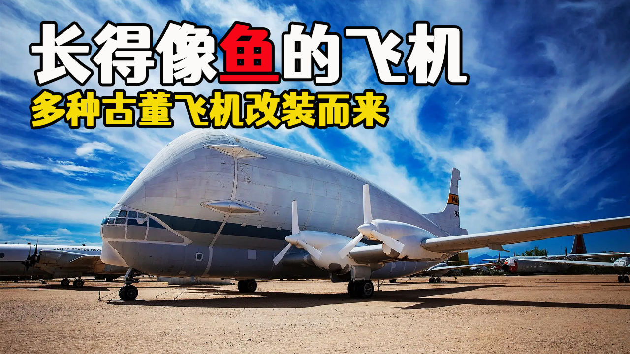 美国巨型古比鱼运输机,是50年代波音飞机改造的,外形酷似一条鱼
