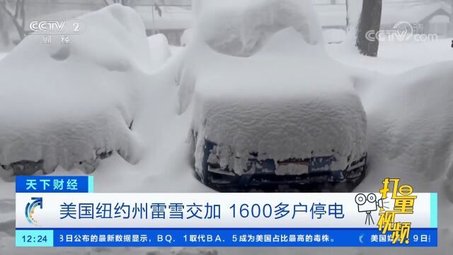 美国纽约州雷雪交加,1600多户停电