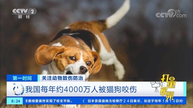 据不完全统计,我国每年约4000万人被猫狗咬伤