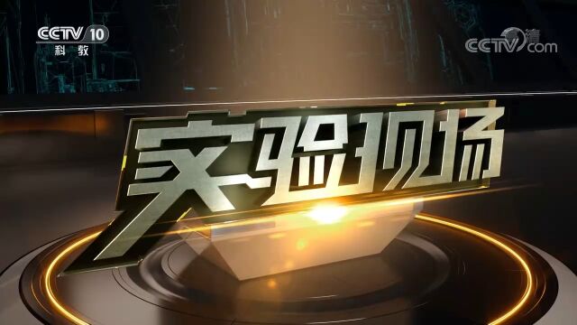 追求健康将白米饭替换成糙米饭,糙米有哪些营养价值?