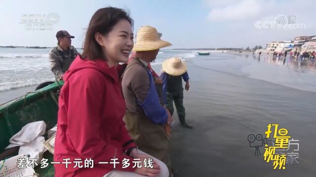 以海为生与海相伴,晏镜岭下奥内海湾渔民洋溢收获的喜悦