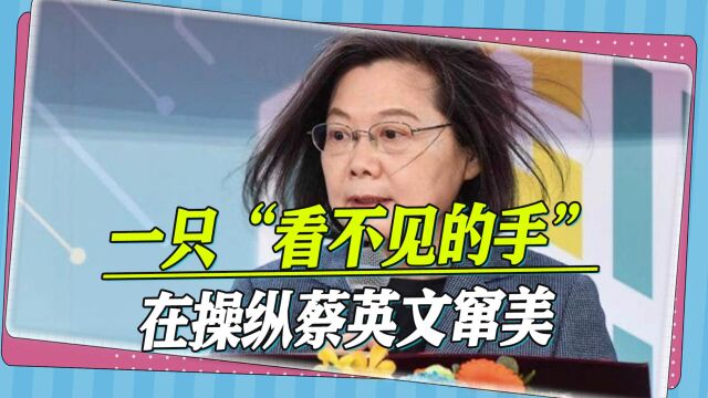 细思极恐,岛内前官员披露,一只“看不见的手”在操纵蔡英文窜美