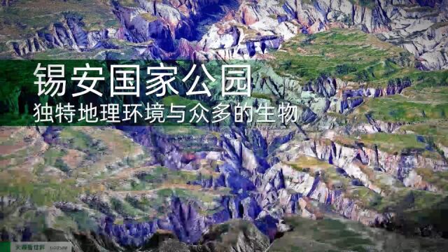 宏伟而富色彩的沙岩悬崖岩立在天际锡安国家公园