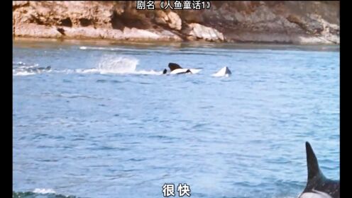 男孩意外坠入水中，竟然被一头虎鲸救起《人鱼童话》