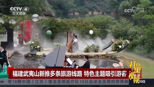 福建武夷山新推多条旅游线路,特色主题吸引游客