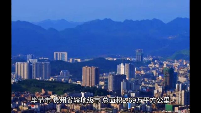 2022年毕节各地财政表现,七星关领先,金沙成为唯一正增长