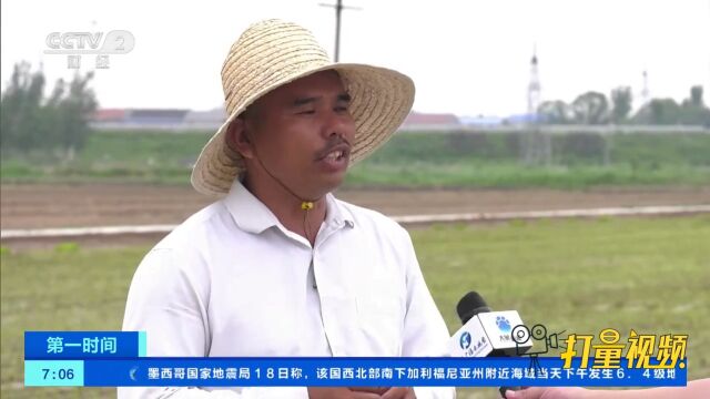 河南原阳:16万亩黄河水稻插秧种植