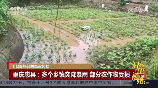 重庆忠县多个乡镇突降暴雨,部分道路和农作物受损