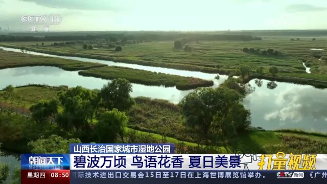 山西长治国家城市湿地公园:碧波万顷、鸟语花香、夏日美景