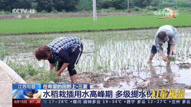 江苏句容:水稻栽插用水高峰期,多级提水保夏种