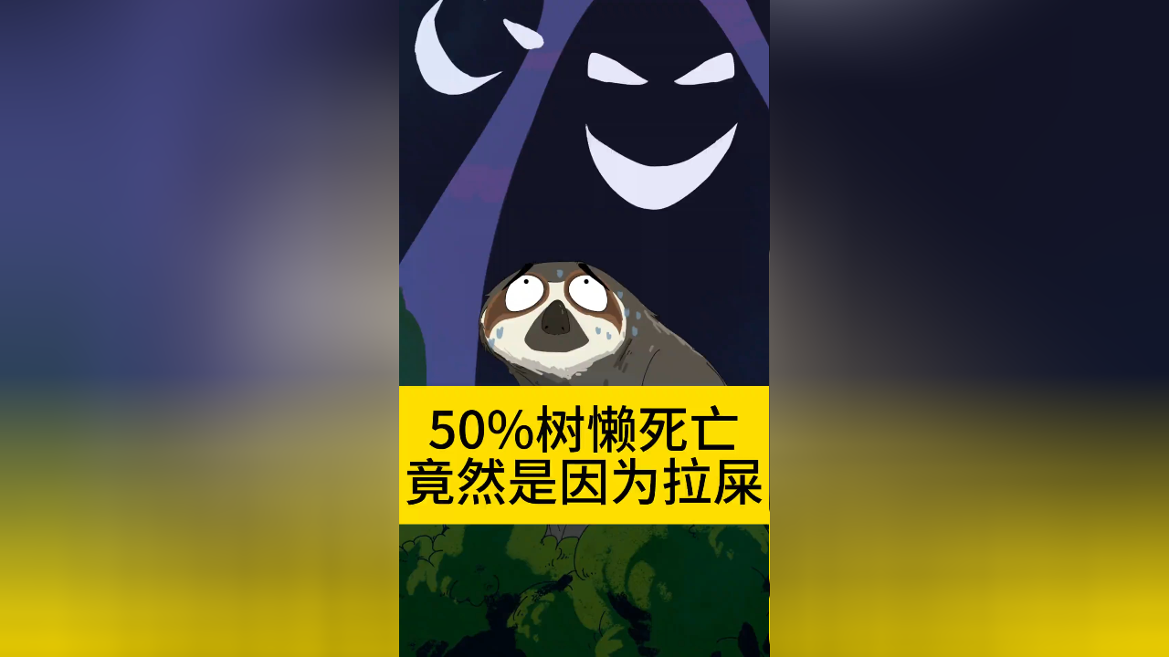 50%树懒死亡竟然是因为拉屎
