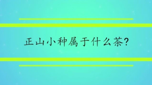 正山小种属于什么茶?