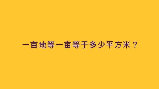 一亩地等一亩等于多少平方米?