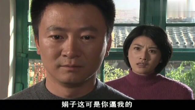 绿野:娟子一再逼迫,亮子忍无可忍拿出了她和于涛的“亲密”照片