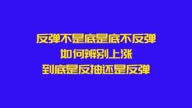 反弹不是底,是底不反弹,如何辨别上涨到底是反抽还是反弹?