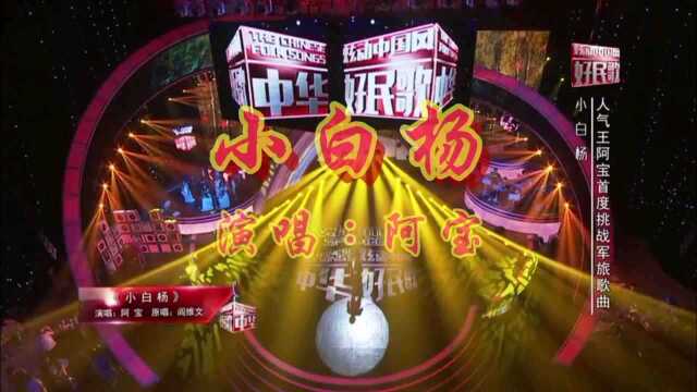 歌曲《小白杨》演唱:阿宝