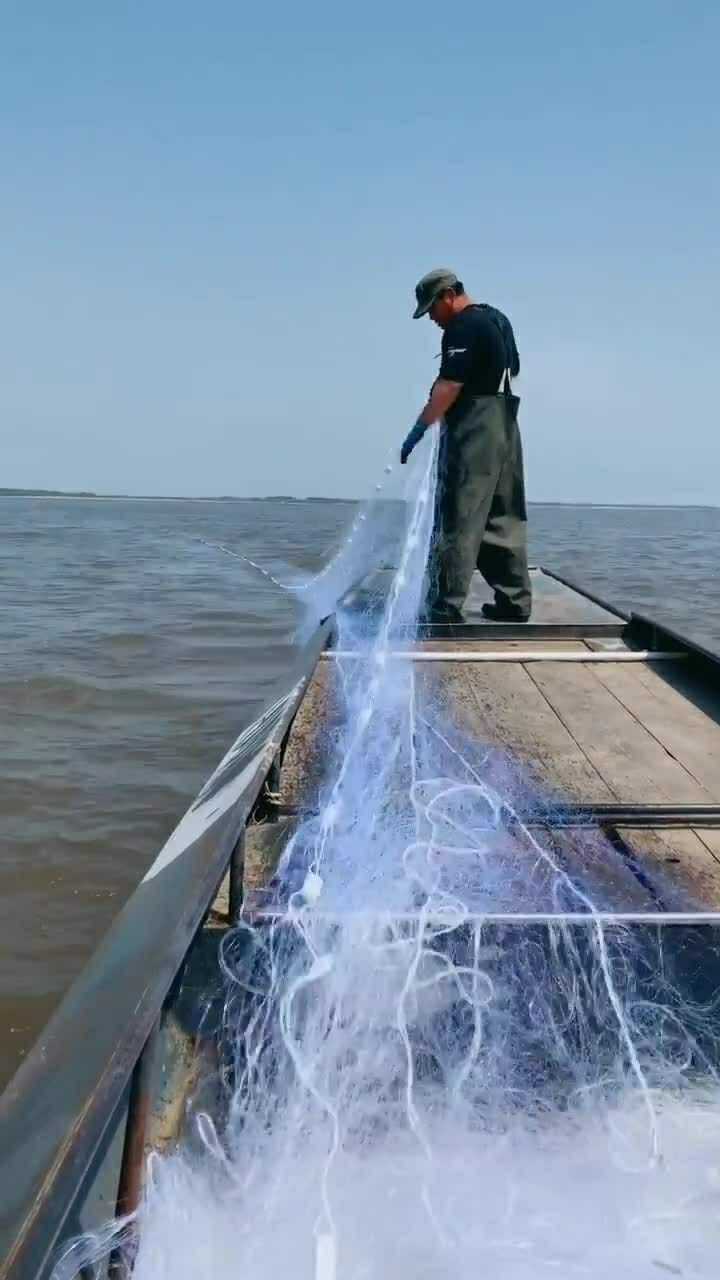 下鱼网!大型捞鱼现场_高清1080P在线观看平台_腾讯视频