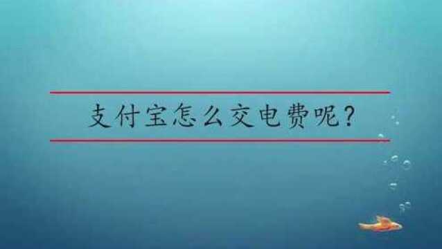 支付宝怎么交电费呢?