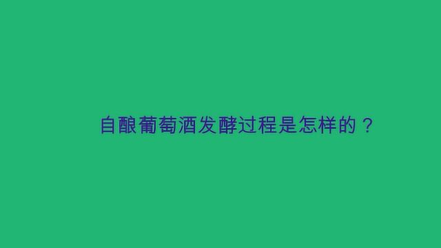 自酿葡萄酒发酵过程是怎样的?