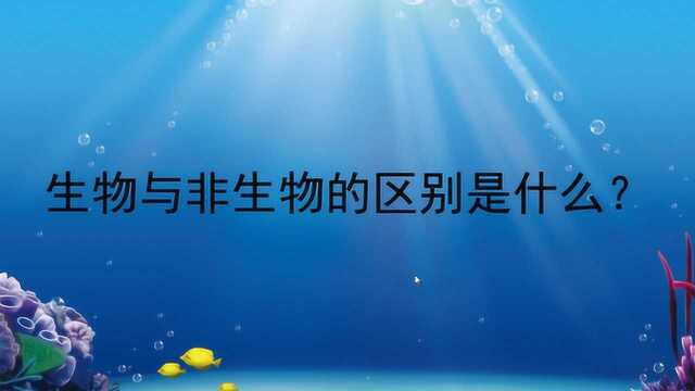 生物与非生物的区别是什么?