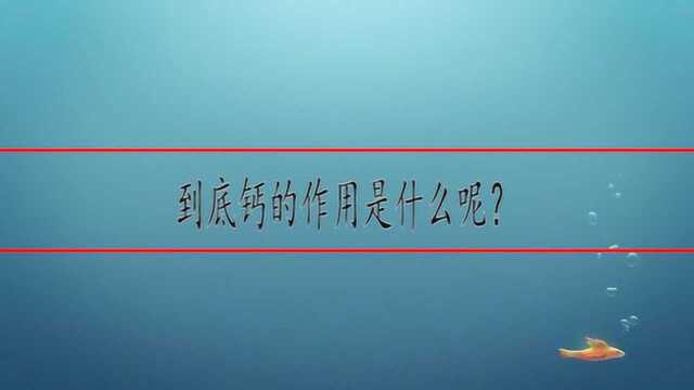 到底钙的作用是什么呢?