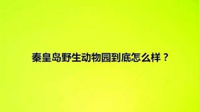 秦皇岛野生动物园到底怎么样?