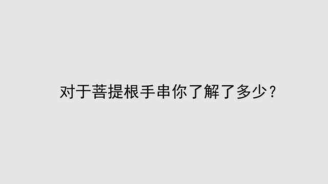 对于菩提根手串你了解了多少?