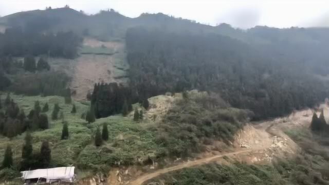 青山遮不住,毕竟东流去——乐山