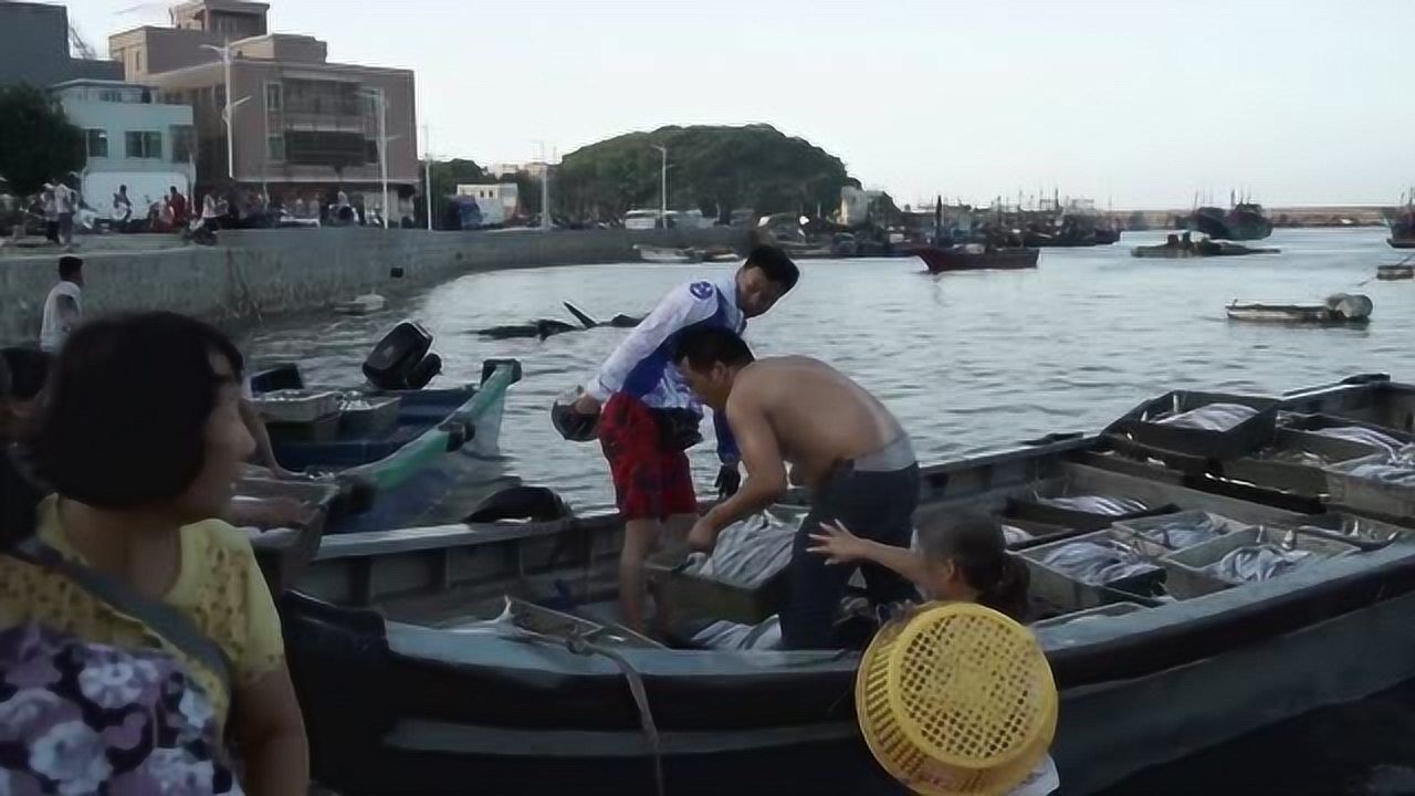 南澳岛被誉为东方的夏威夷,一起看看当地的海边沙滩和海鲜市场腾讯视频