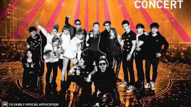 YG公司的巅峰时代,2NE1, Bigbang超燃现场!