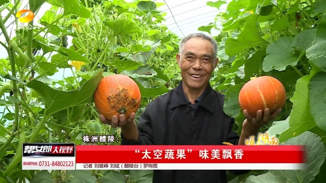 株洲醴陵:“太空蔬果”味美飘香