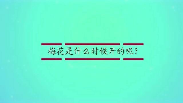 梅花是什么时候开的呢?