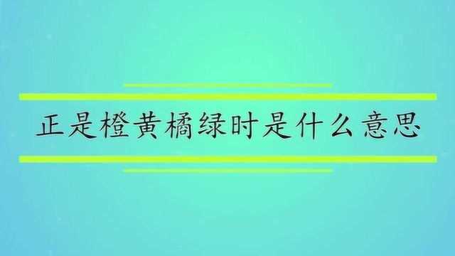 正是橙黄橘绿时是什么意思